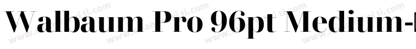 Walbaum Pro 96pt Medium字体转换
